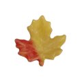 メイプル　紅葉