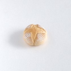 画像4: 薪窯パン5　パン・ド・カンパーニュ